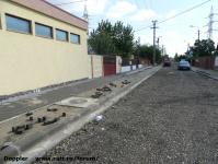 Imagine atasata: Muzicescu - 2015.09.06 - 21.jpg